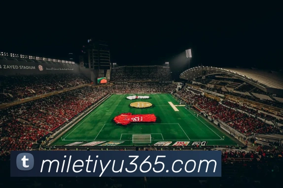 App Interface Preview