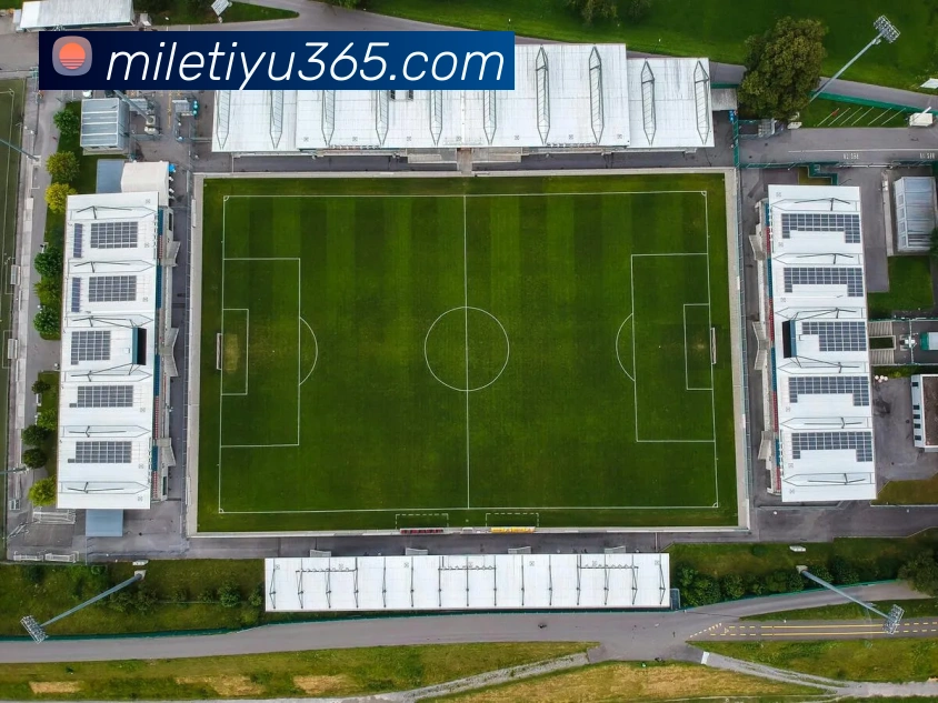 米乐体育APP 封面图